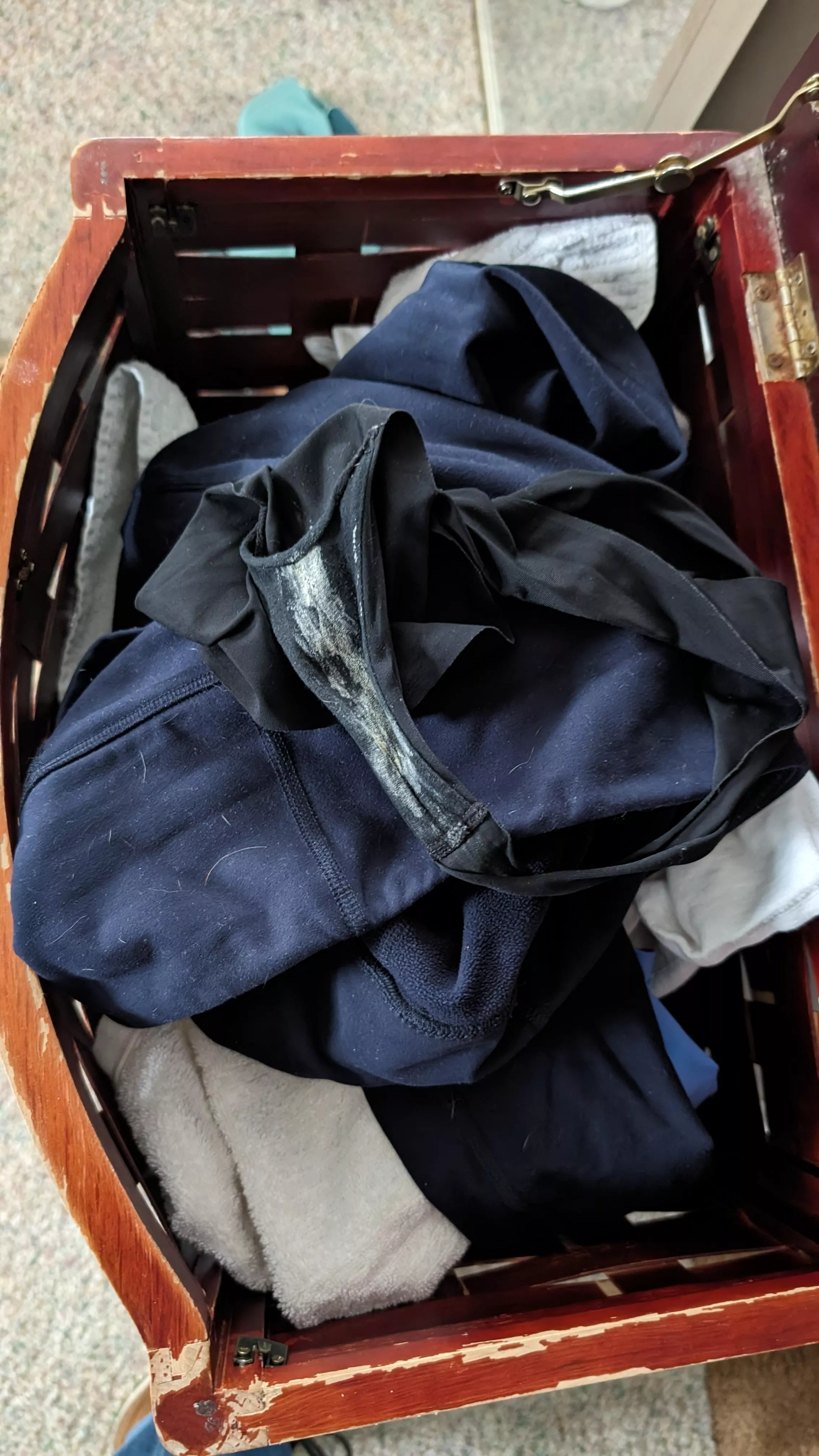 Full Workday Panties