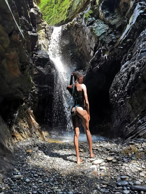 If I asked you to eat my ass, what would you say