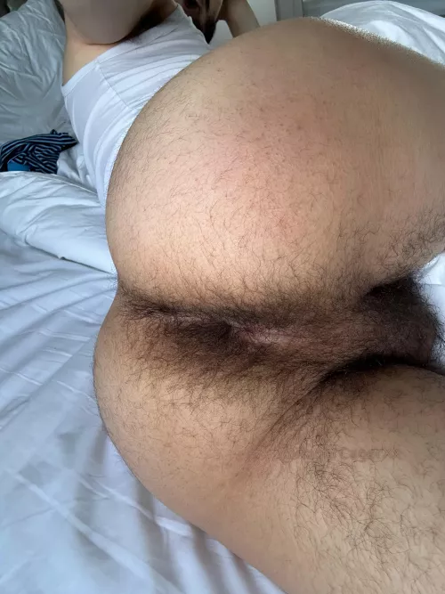 I’m sitting on your face tonight, and you’re gonna like it 🐽