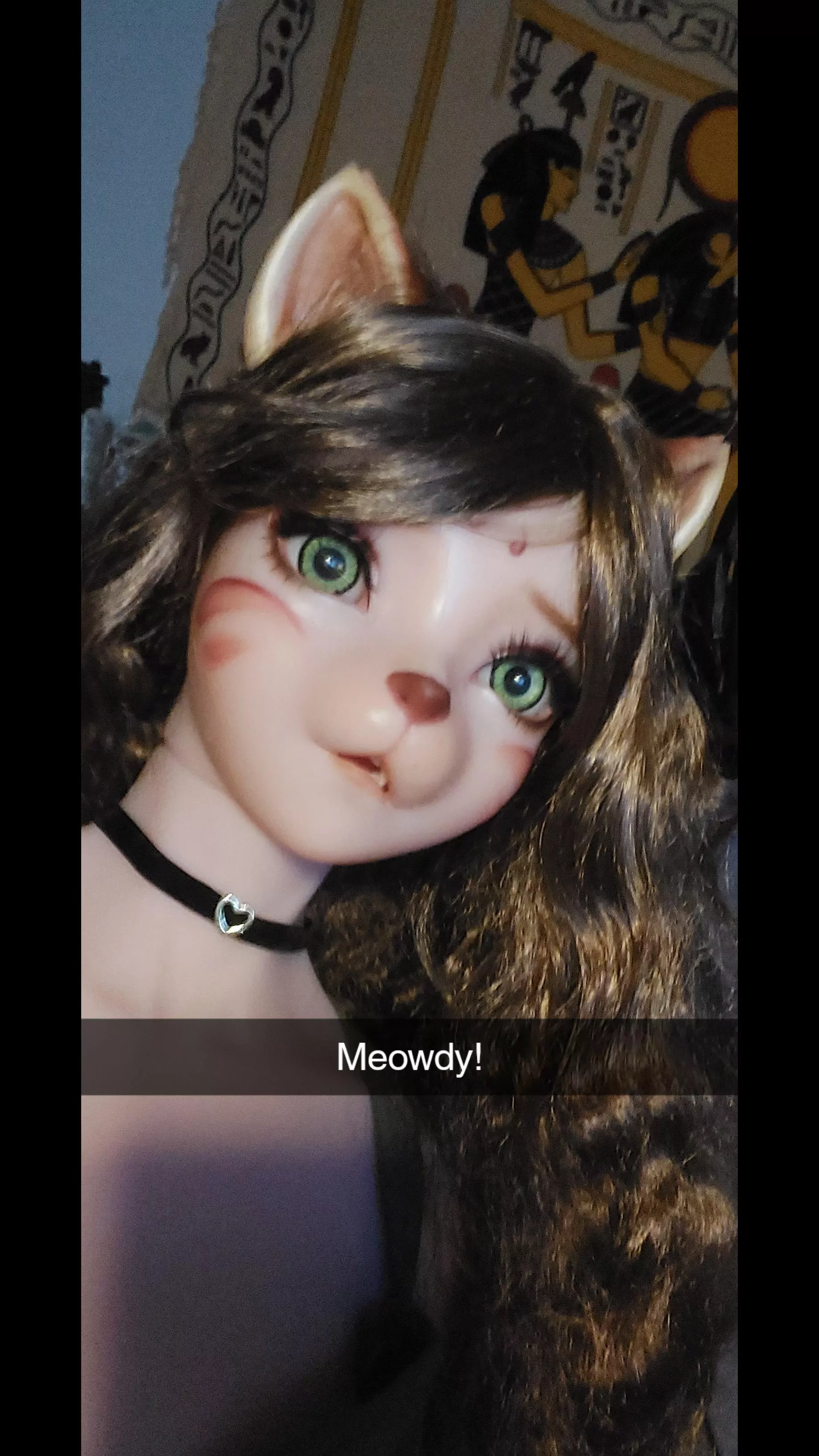 Lynxa stole my phone!