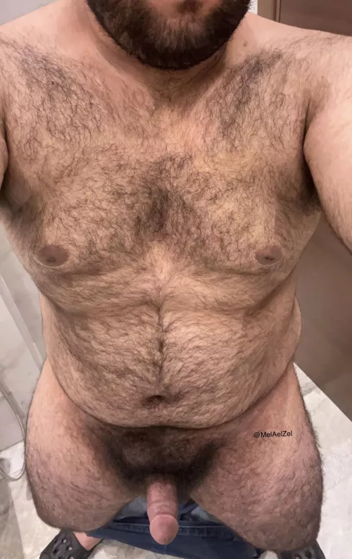 The body of a 21 years old bear