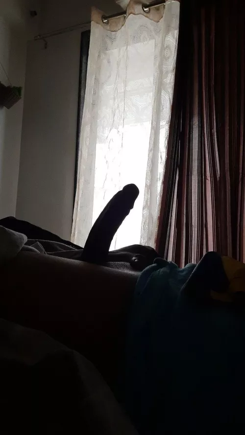 your morning view 🪵