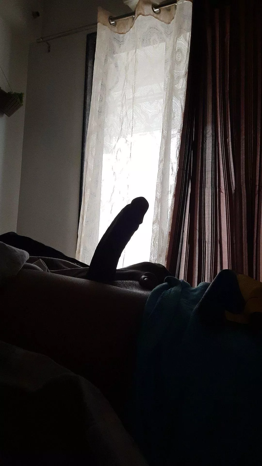 your morning view 🪵