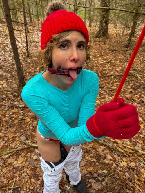 Free use never looked so tempting