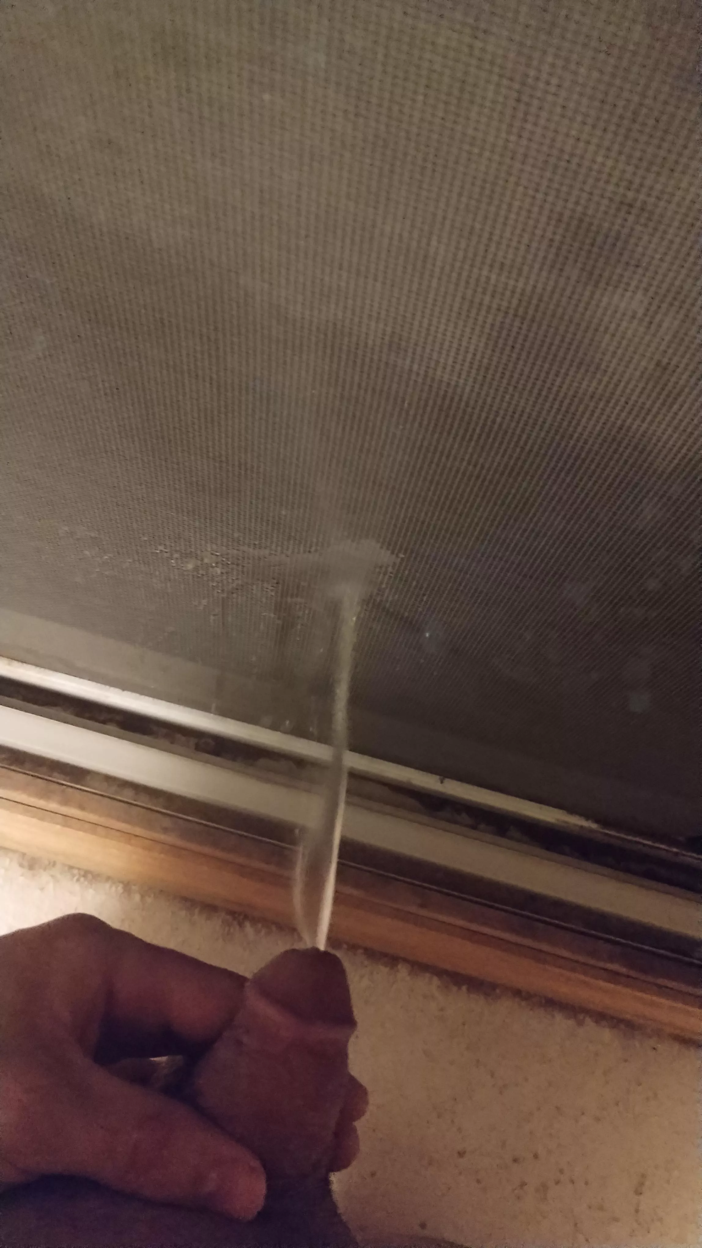 My Favorite Way To Pee Right Now!! So much fun! (M) 26