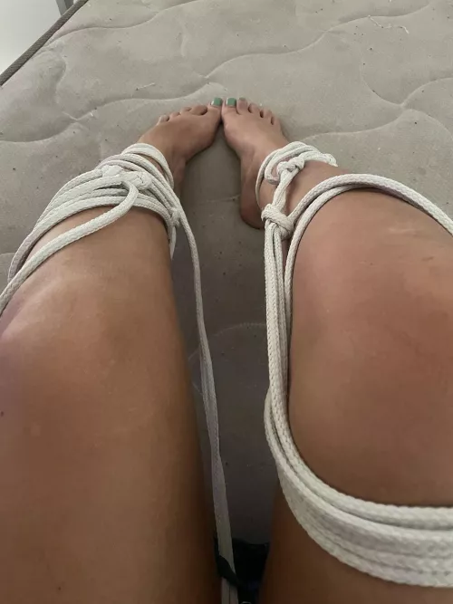 My vision after a shivering season