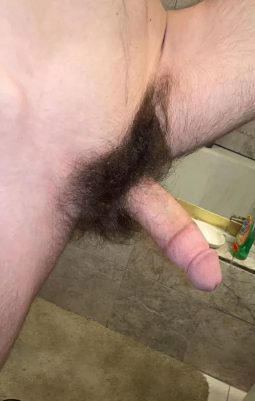 Biggest my bush has ever been