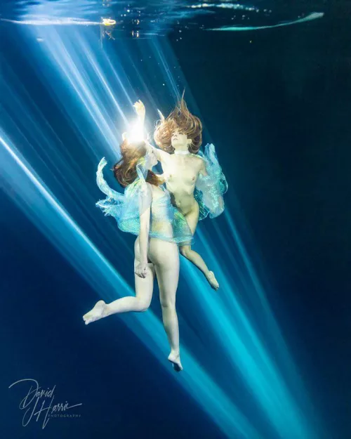 David Harris - In light