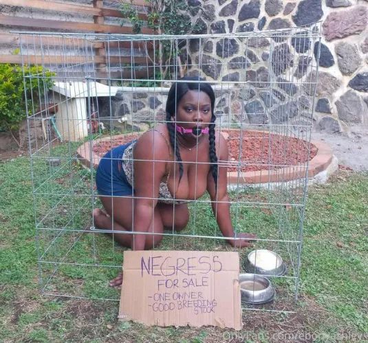 Being sold to the highest bidder. High pain threshold. Trained and broken. Expert ass cleaner and piss drinker.