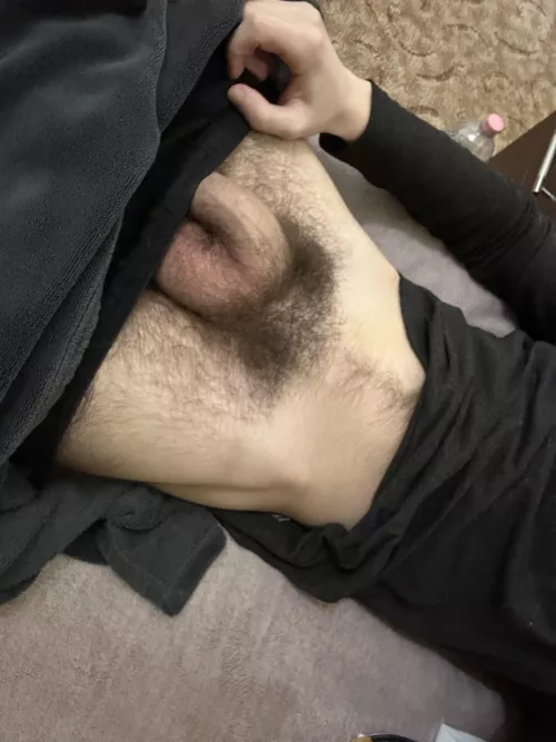 Do you like bushy teen cocks?