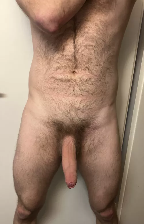 Lets make some babies