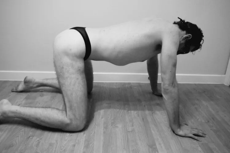 On all fours...