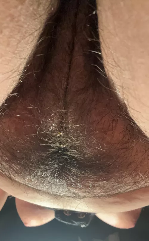 POV: what you see before I sit on your face