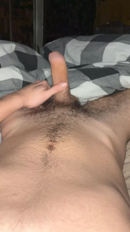 Uncut hairy cock