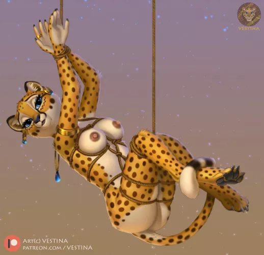 (Vestina) [F] Wrapped for you.