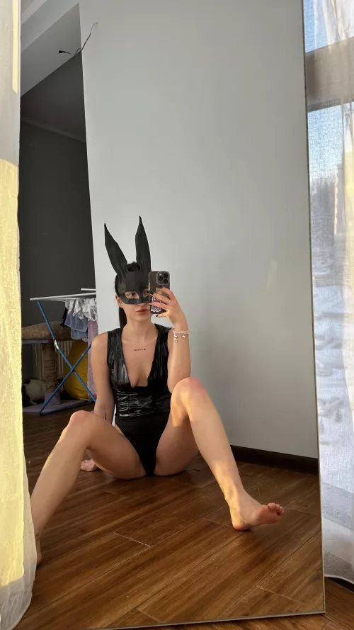 Bunny wants to play 🐰