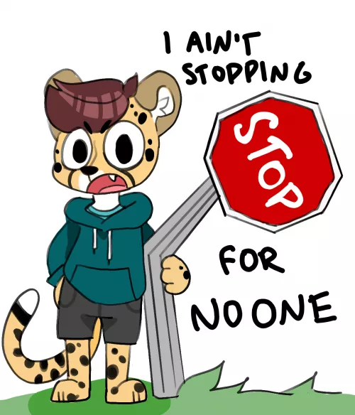 cheetah boyo don't stop