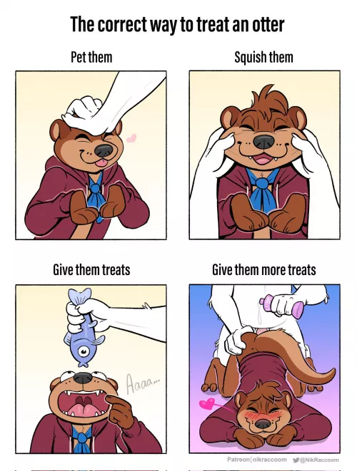 How to Treat an Otter (NikRaccoom)