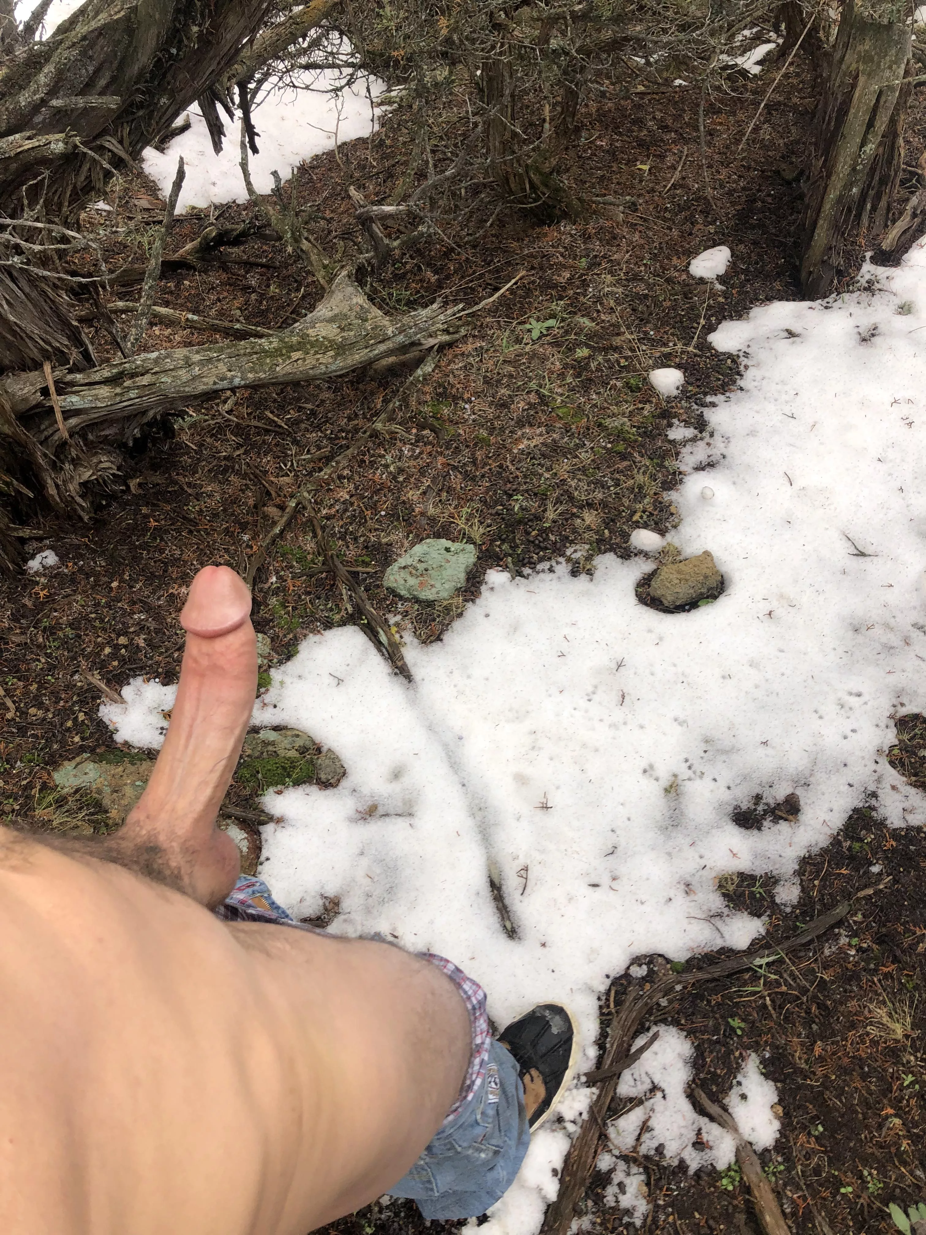 Waiting for the next hiker to come along:) what would you do if you caught me like this?