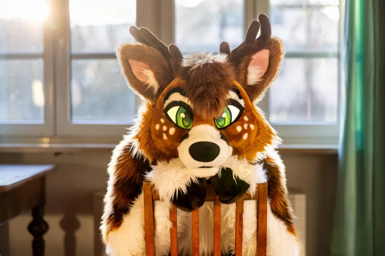 Would you like to hang out with @Nico_deer? (found on Twitter)
