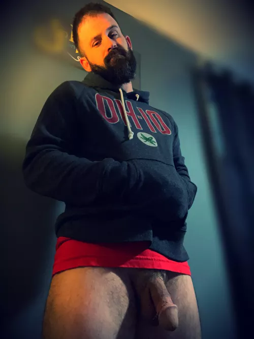 Been sick. Here’s my best lion after days in bed lol