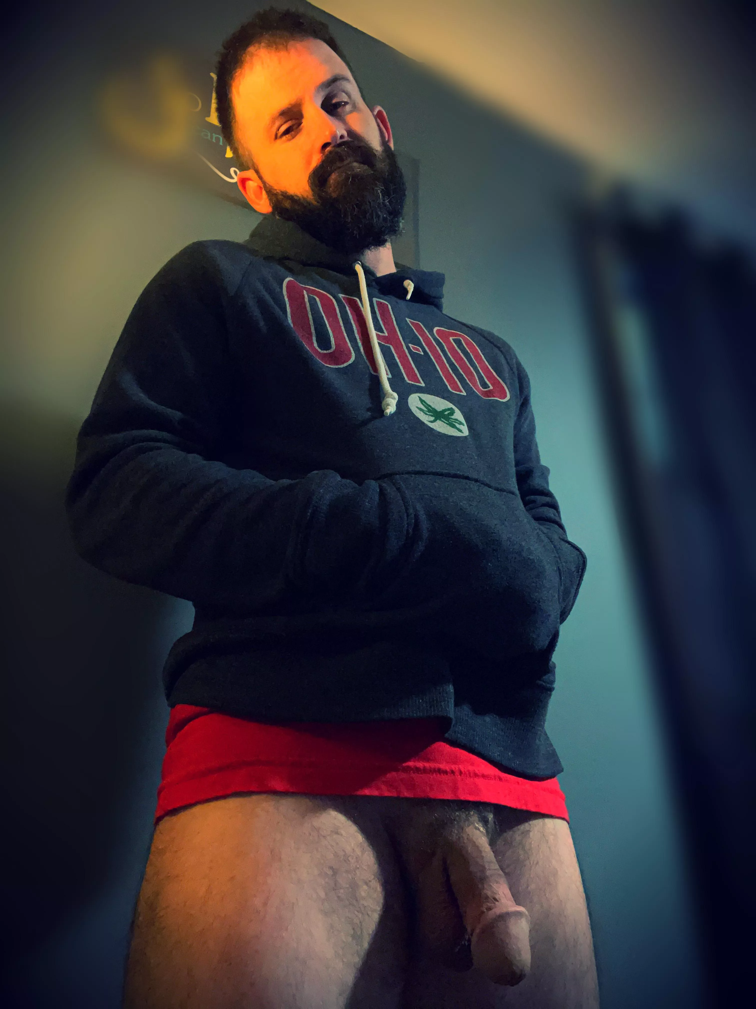 Been sick. Here’s my best lion after days in bed lol