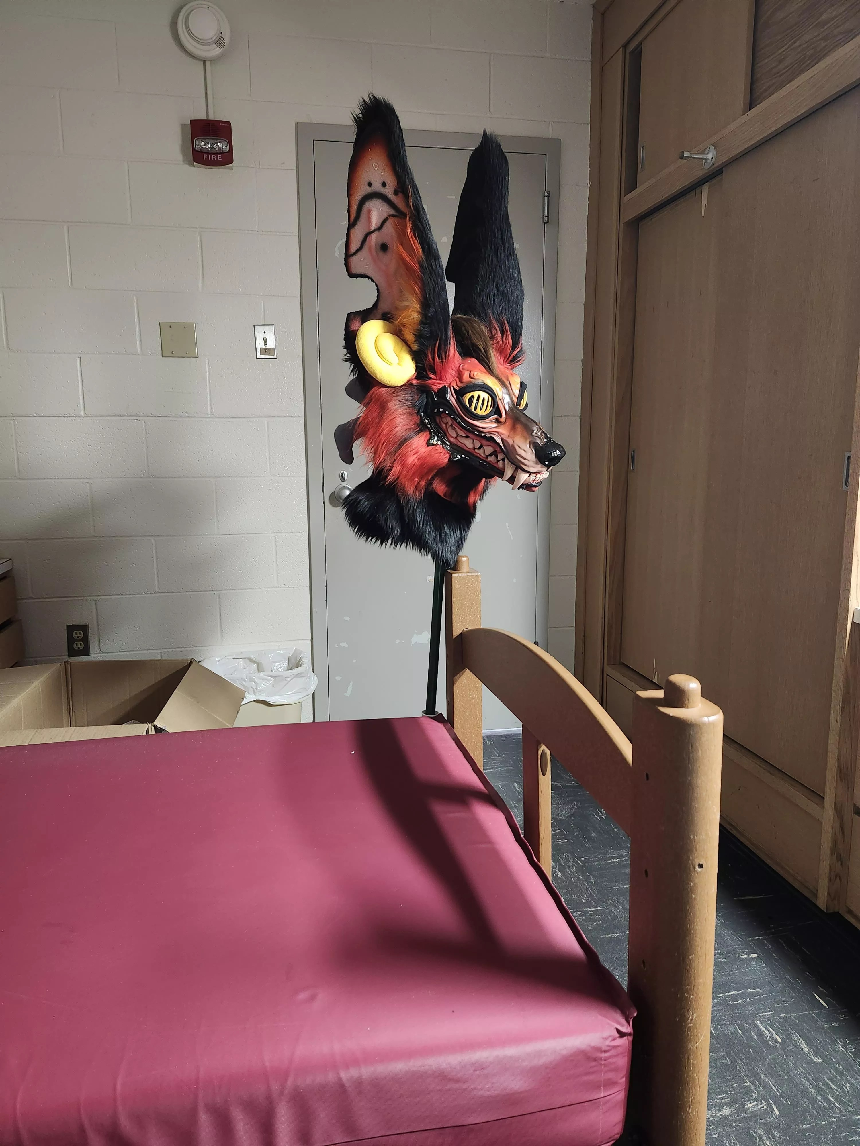 Dorm jumpscare