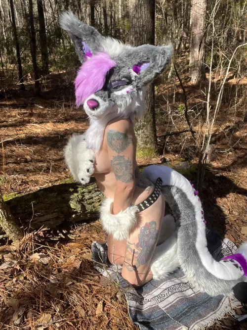 Let’s go play in the woods ✨❄️🌳🏔️✨