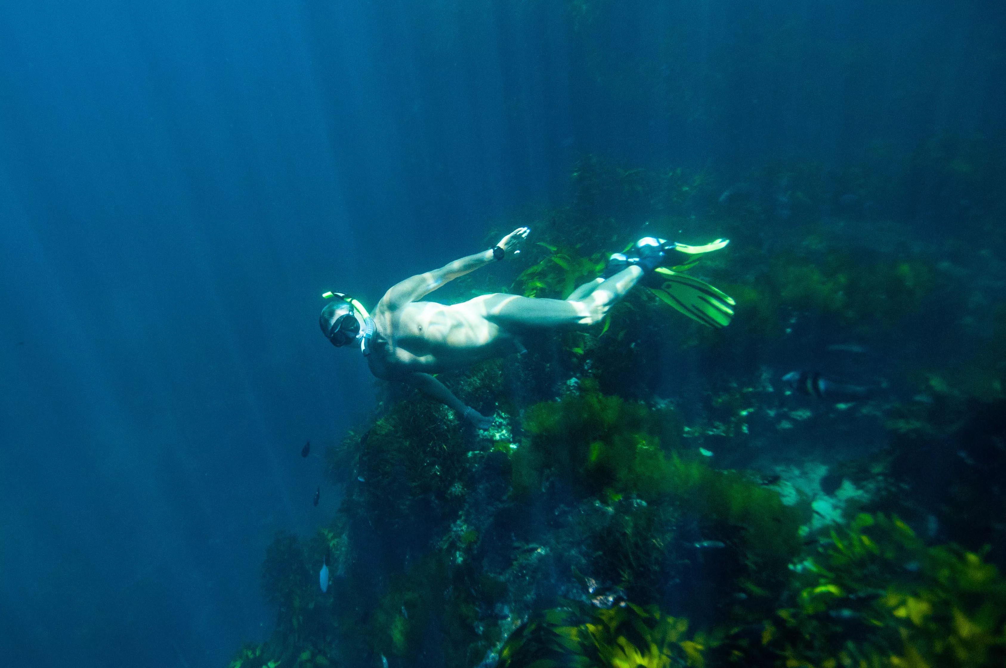 Summer continues with cool swims