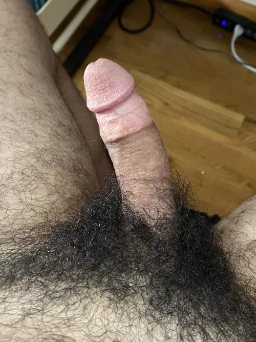 thoughts on this cut hairy cock? 😈