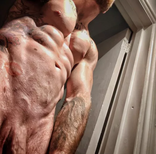 What shall I train in the gym today?