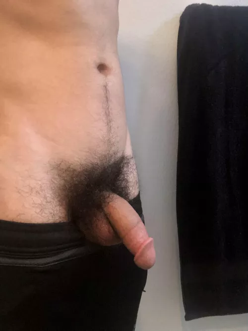 Would you drop to your knees in the bathroom for this hairy cock?