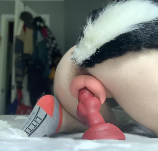 fluffy tail, puffy cookie