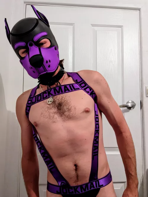 Happy little club pup outfit