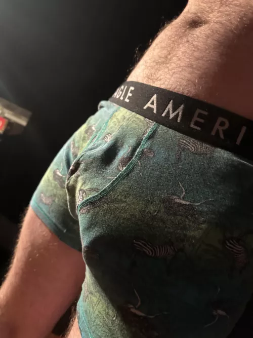 I like to think these undies leave just enough to the imagination