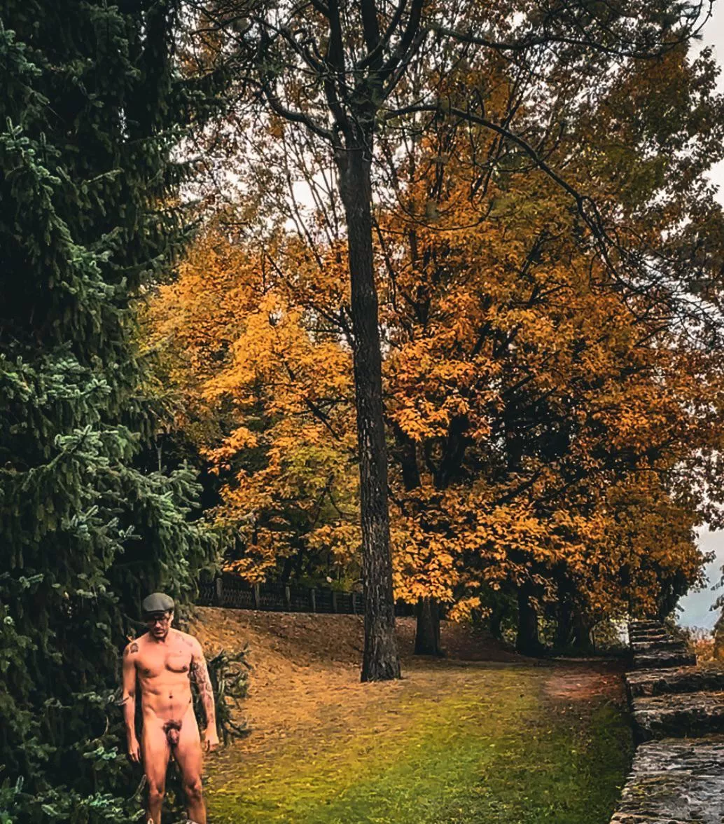 So Public…by the Road and Entrance to the Park