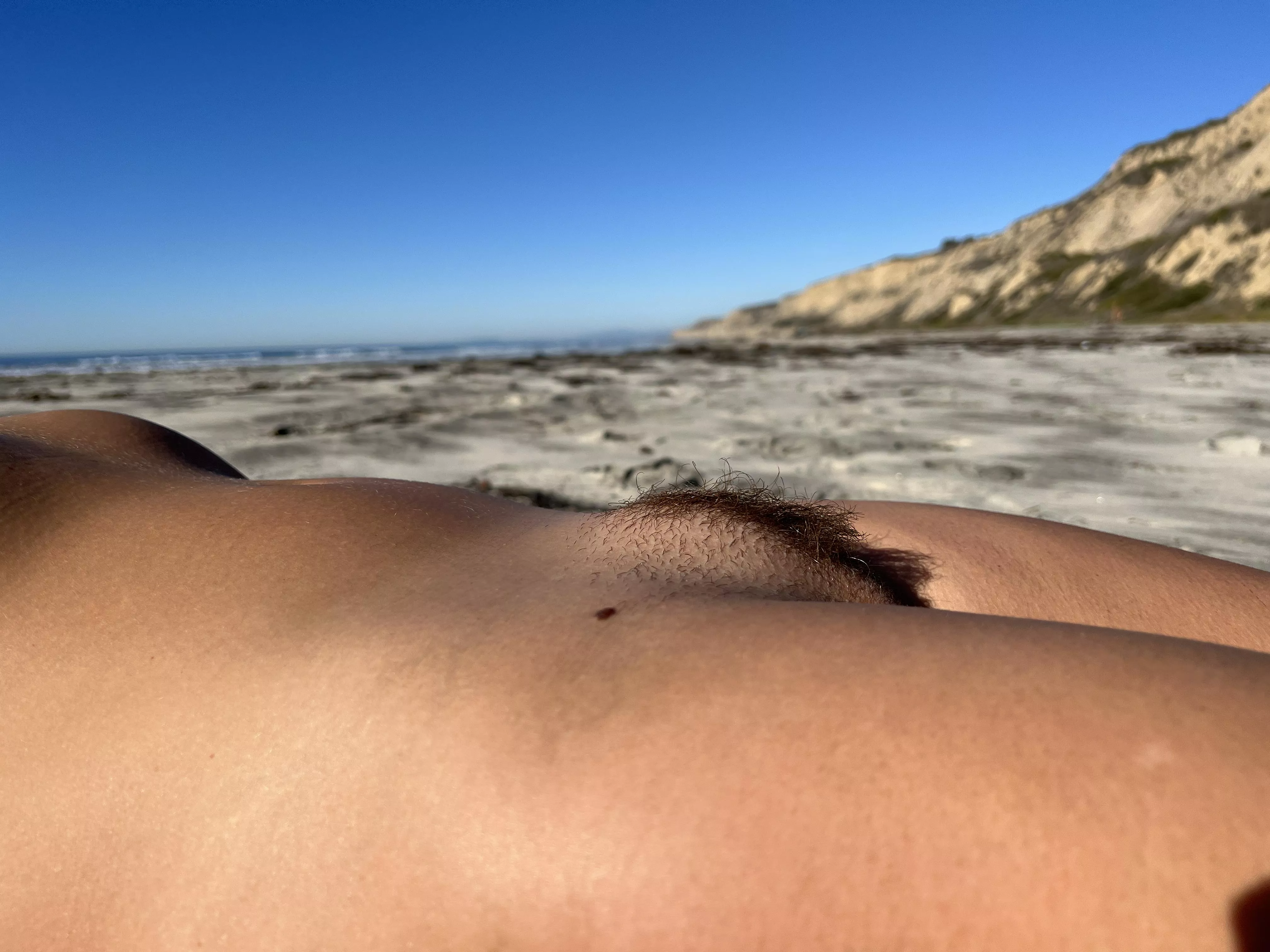 There was a little bush on the beach.