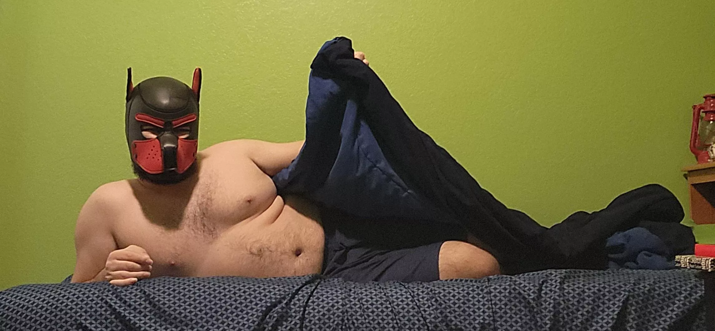 Yaaaaaaawn~ Any pup wanna keep me warm and take a nap?