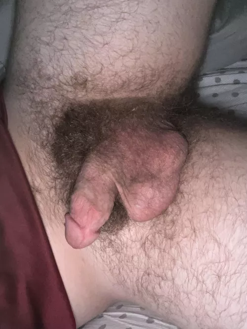 Are my pubes adequate?? My DMs are open ;)