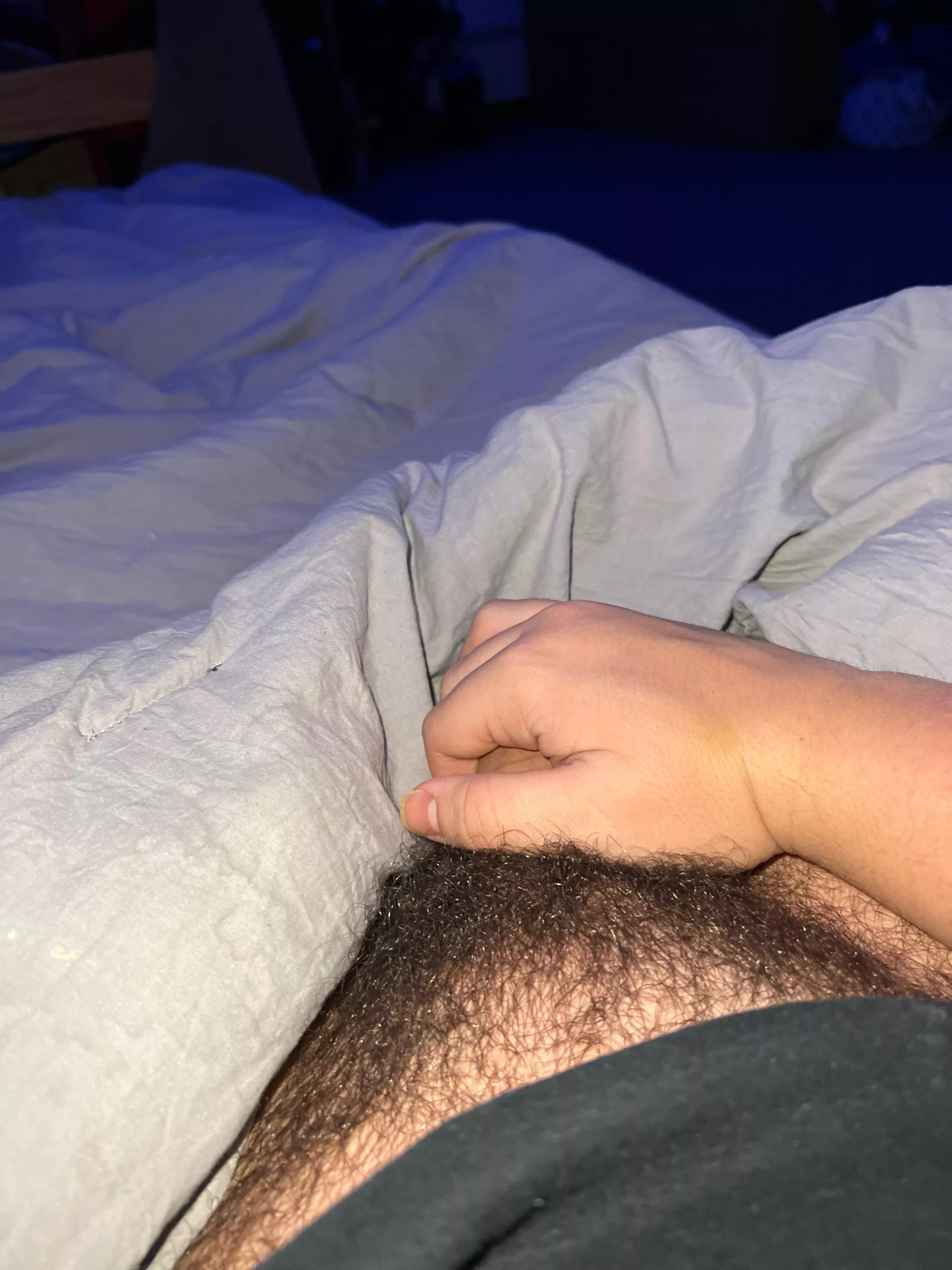 Bush is getting crazy what do I do guys?