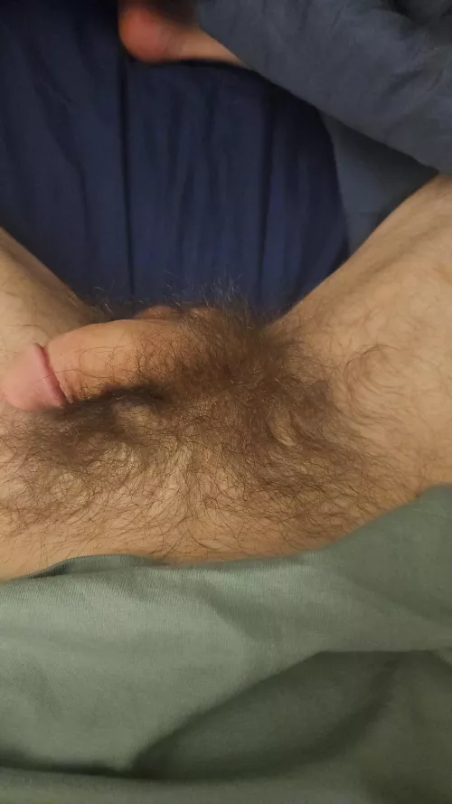 How to get it hairier?