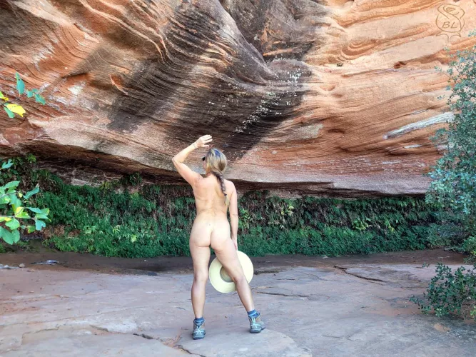 Letting it all hang out in the Hanging Garden