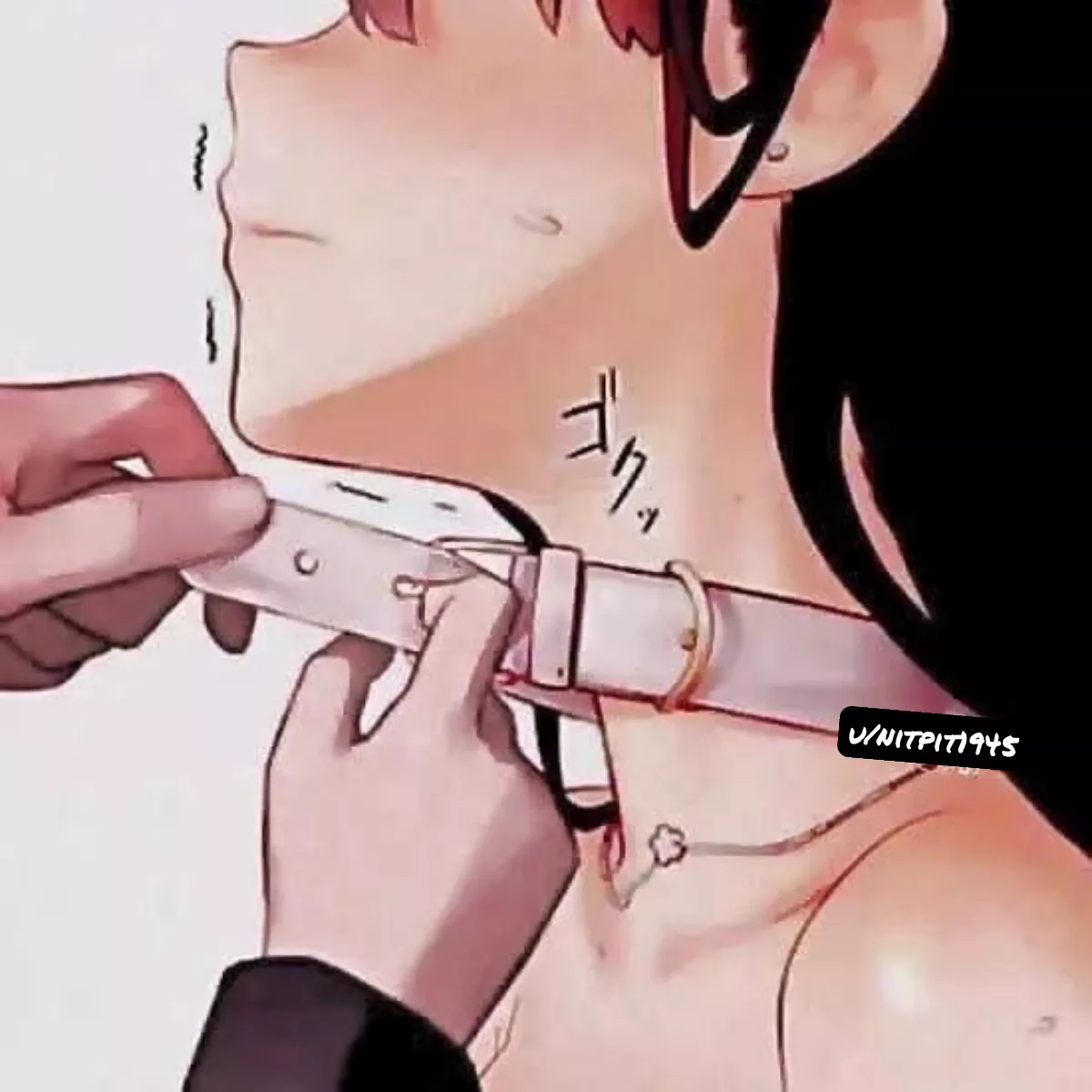 How it should be by every pet with a master