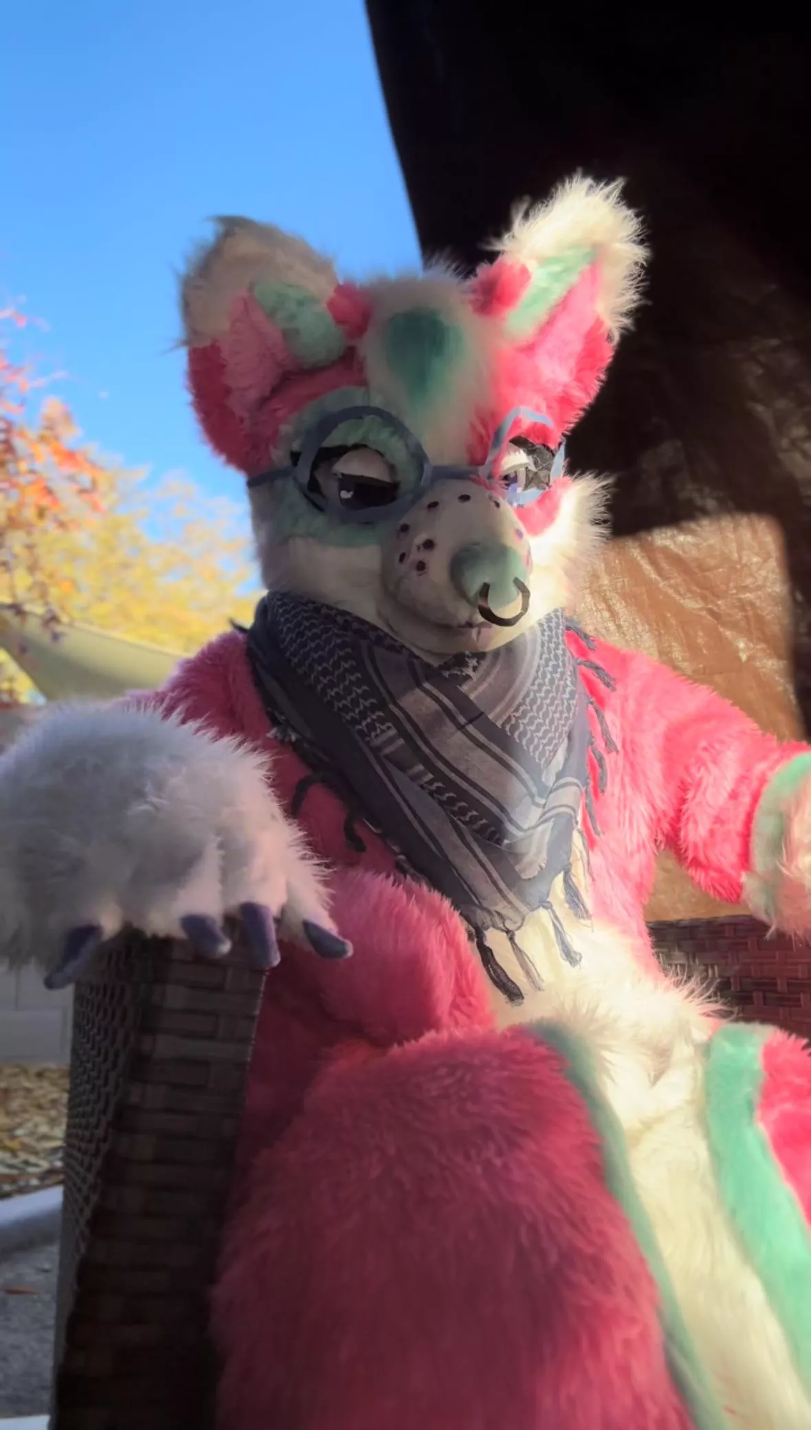 Welcome to the Dog Lair. If you’re not a dog, leave now.