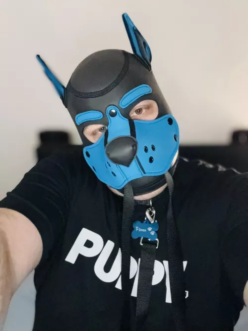 Woof! 🐾 Pup Finn is ready for a walk 🦮