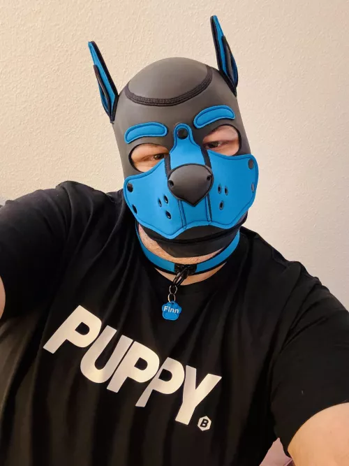 Woof! 🐕🐾 Wish you all a great weekend 🐶🐾 (needs cuddles)
