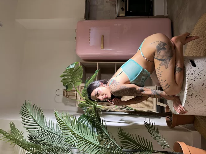 Have you ever given a nice girl like me a really hard fuck and spit in her face?