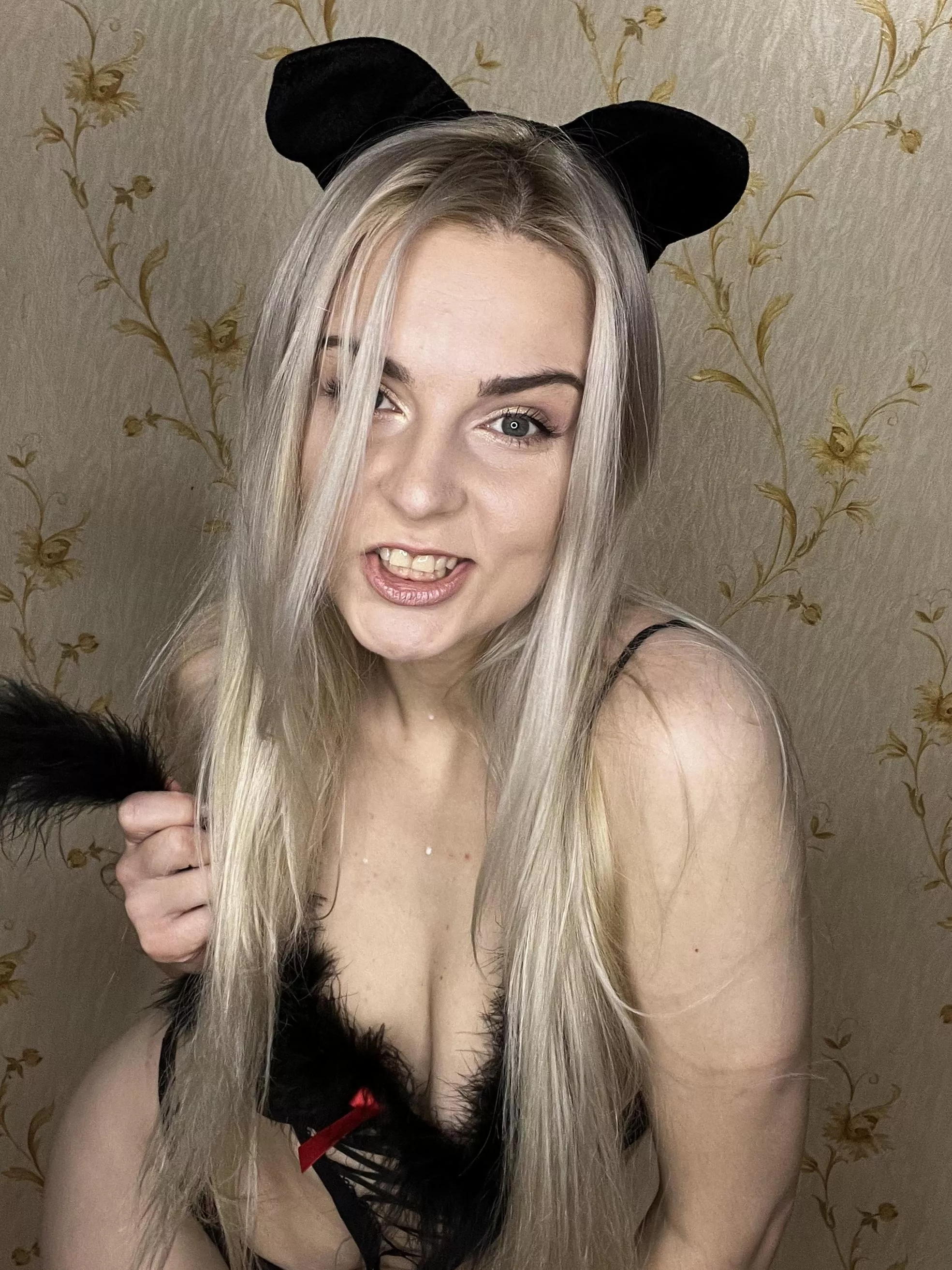 I'm a crazy cat woman rrrrrr