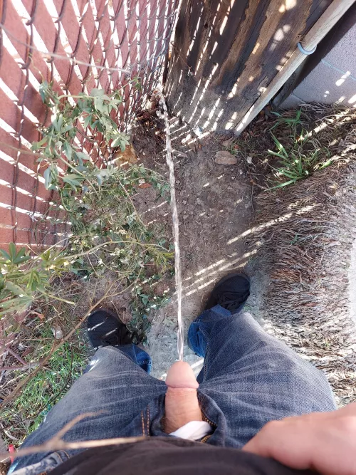 In my buddy's back yard