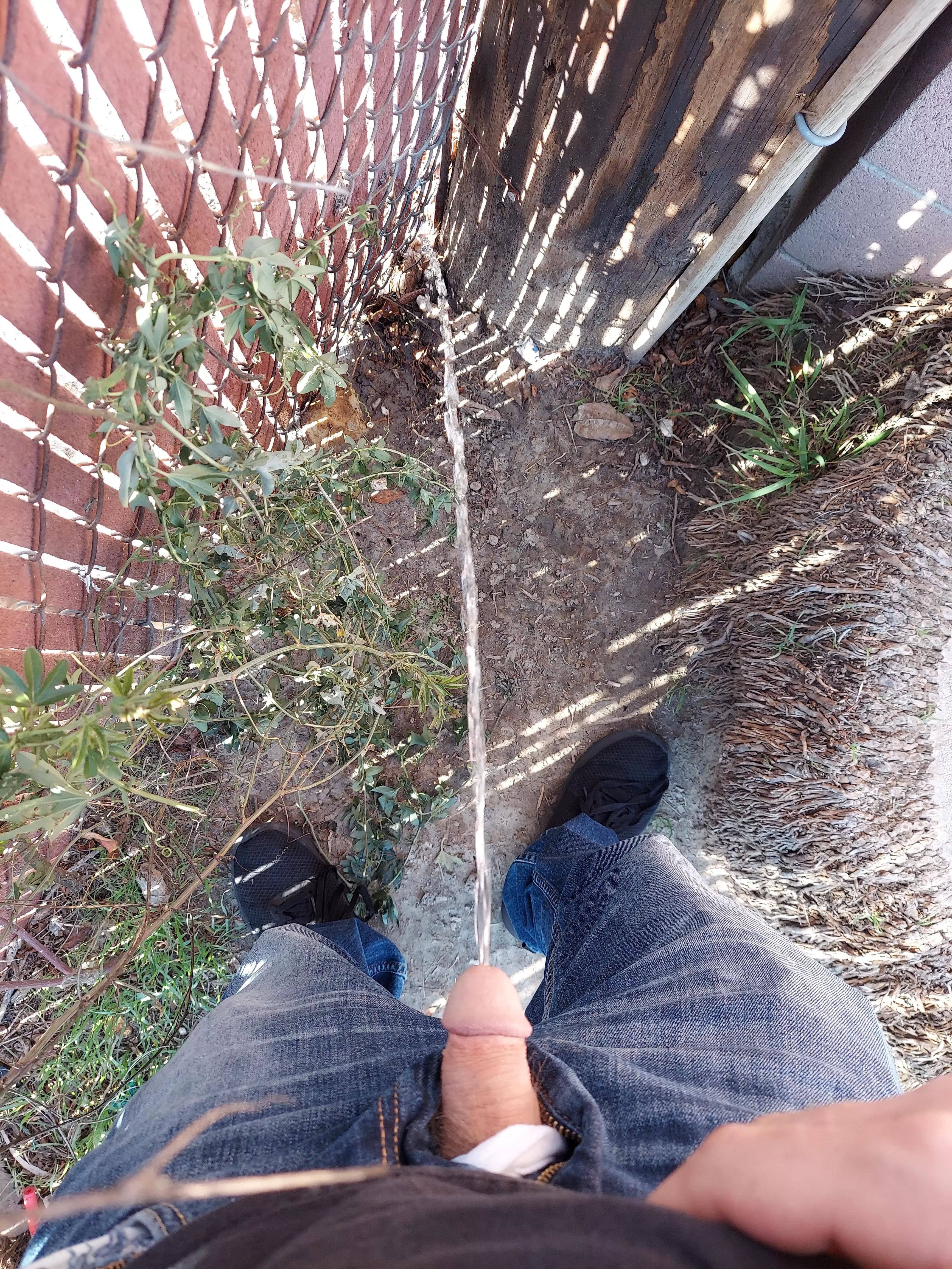 In my buddy's back yard